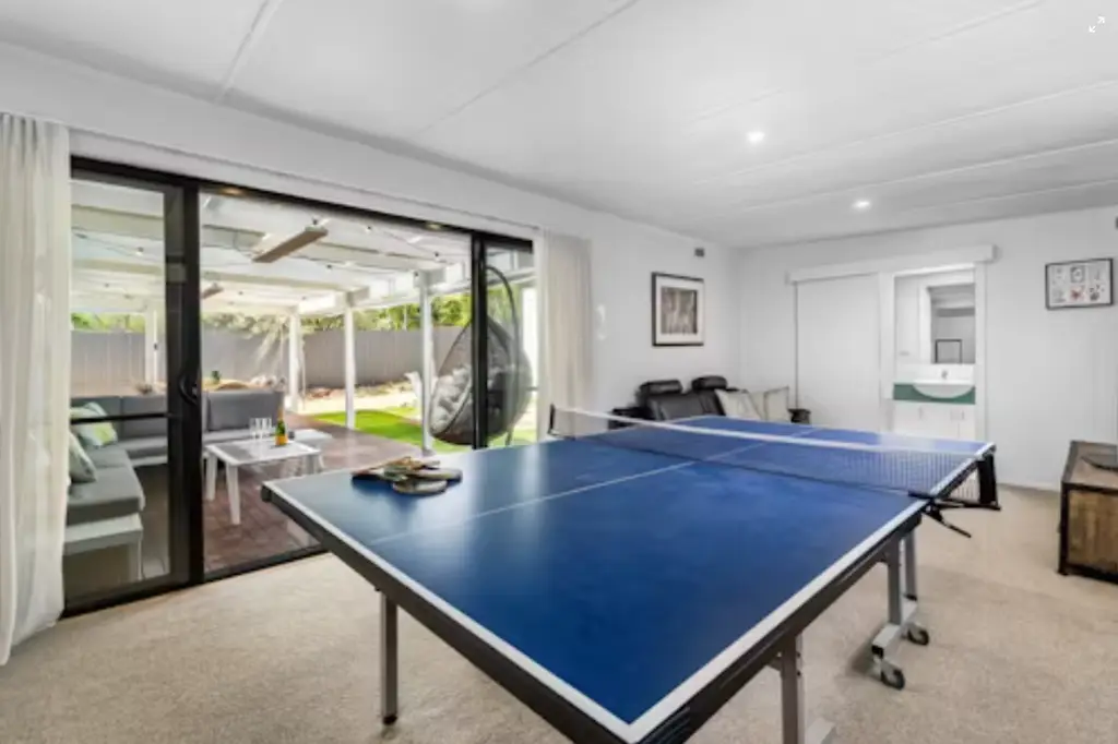 台灣乒乓球國寶莊智淵:十載征戰,不滅的乒乓魂