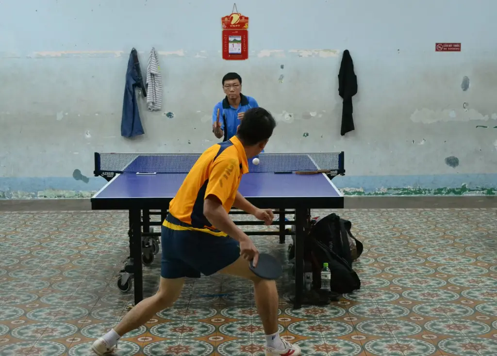 乒乓球網高度:從標準規格到專業選手的較量